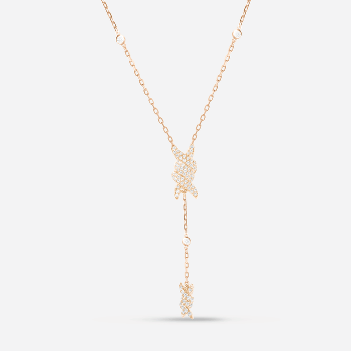 Barbelé Lariat Necklace