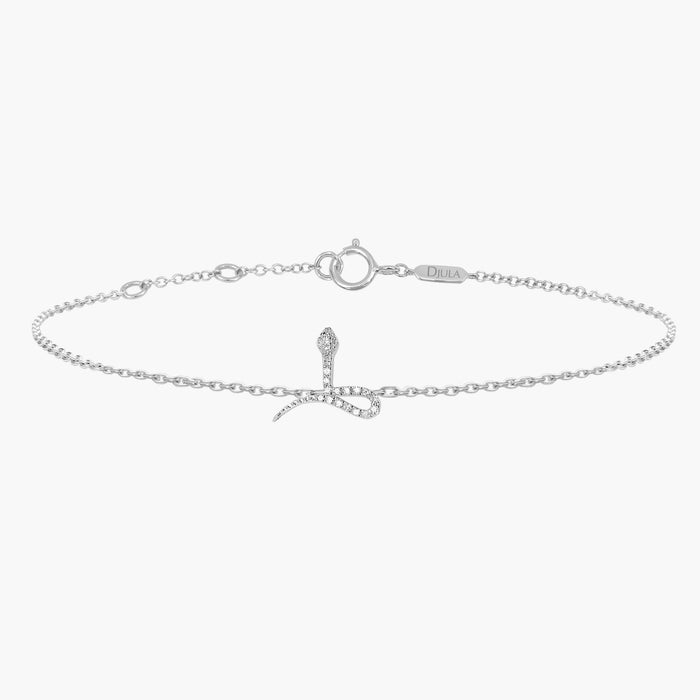 Snake Chain Bracelet