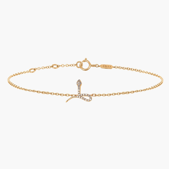 Snake Chain Bracelet